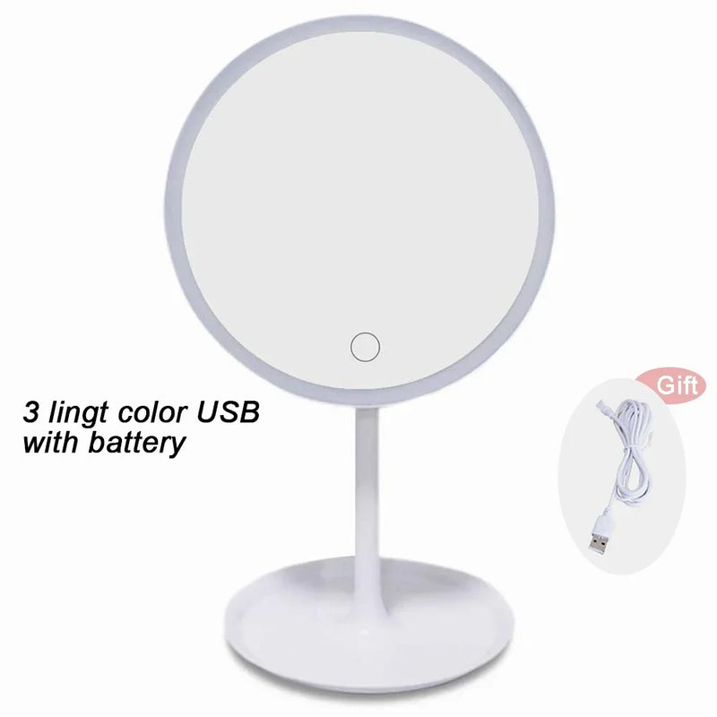 3 Modes Makeup Mirror with Light LED Daylight Vanity Mirror Storage Base Mirror with Light 